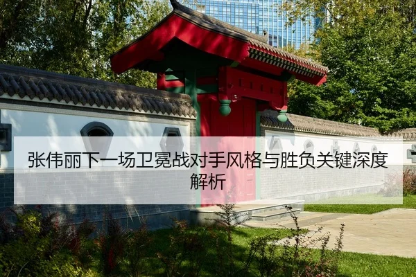 张伟丽下一场卫冕战对手风格与胜负关键深度解析